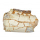 subhyracodon nebraskensis (jaw)