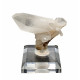 crystal quartz