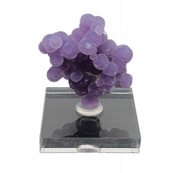 agate raisin