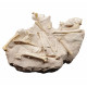 Leptomeryx evansi (squelette)