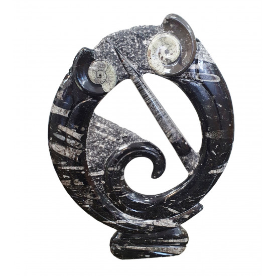 orthoceras and goniatite round sculptur