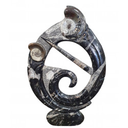 orthoceras and goniatite round sculptur