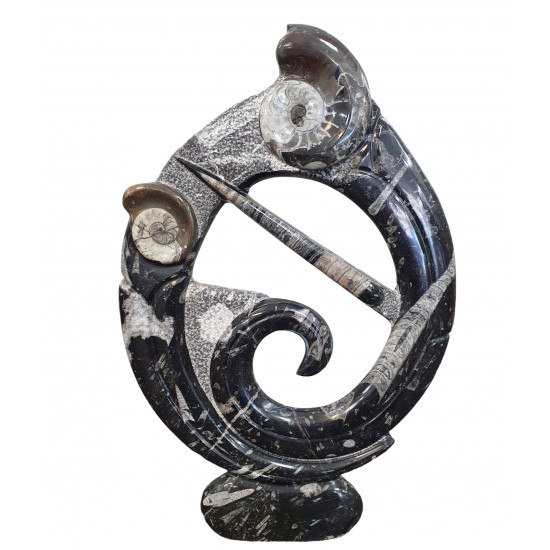 orthoceras and goniatite round sculptur