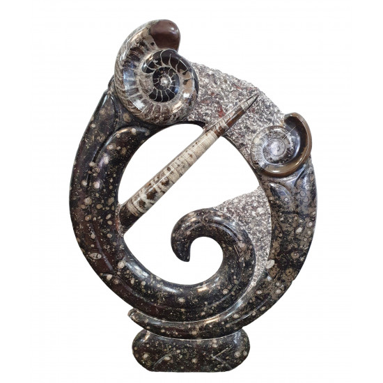 orthoceras and goniatite round sculptur