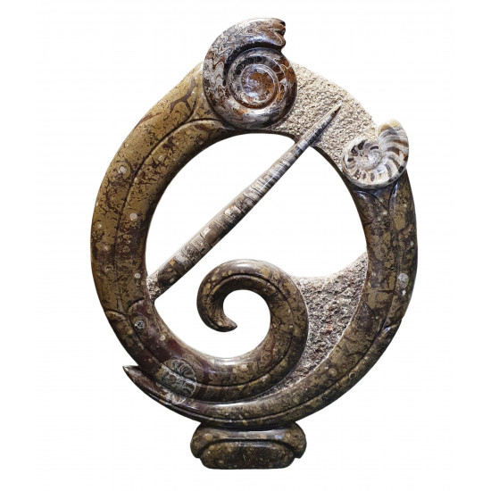 orthoceras and goniatite round sculptur