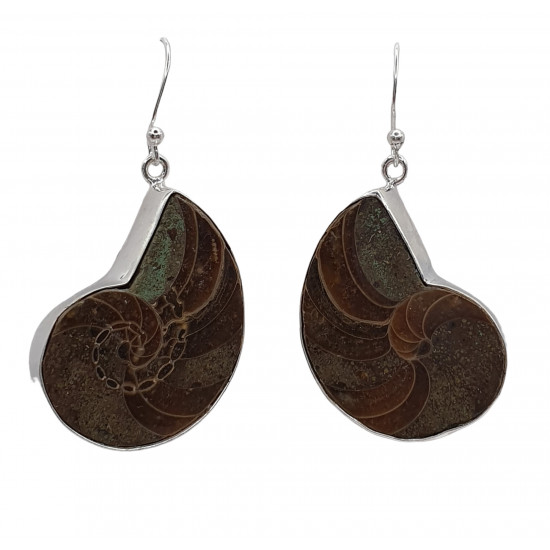 earrings nautile earrings nautile