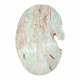 palm stone Caribbean calcite