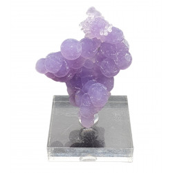 agate raisin