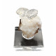 Hyalite opal on chalcedony