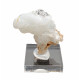 Hyalite opal on chalcedony