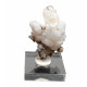 Hyalite opal on chalcedony