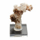 Hyalite opal on chalcedony