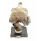 Hyalite opal on chalcedony