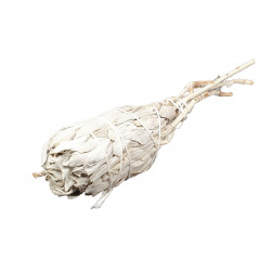 torch sage