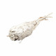 torch sage