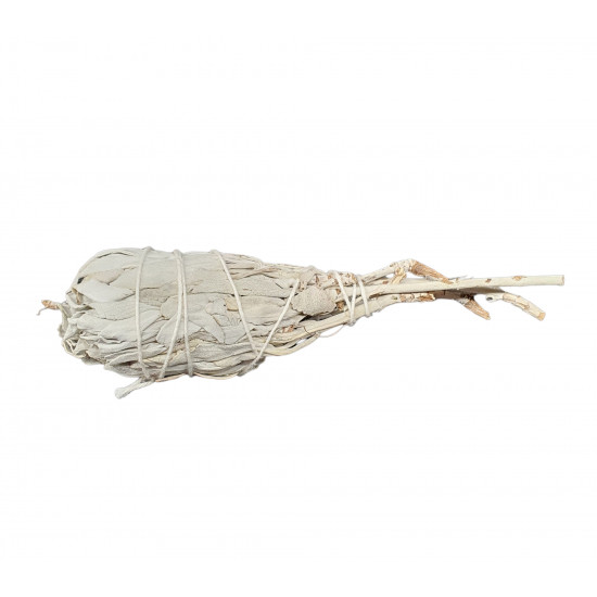 torch sage