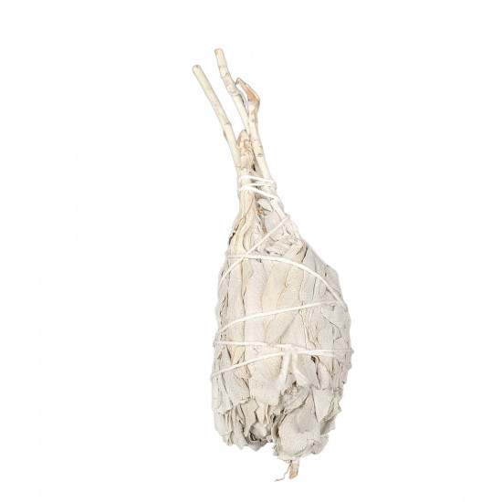 torch sage