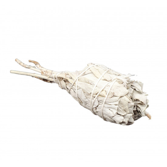 torch sage