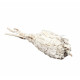 torch sage