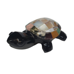 Turtle obsidienne