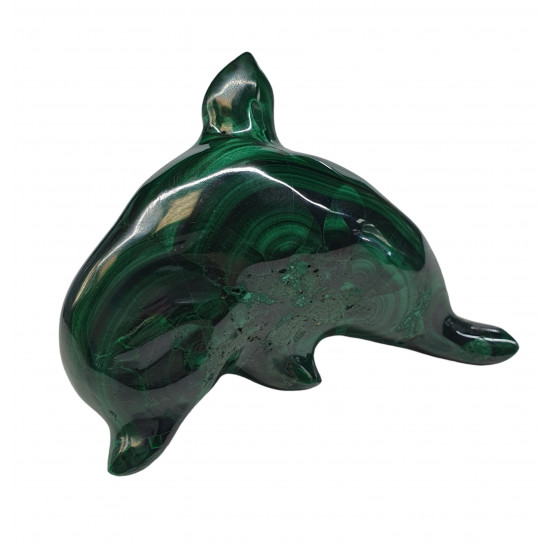 dolphin malachite