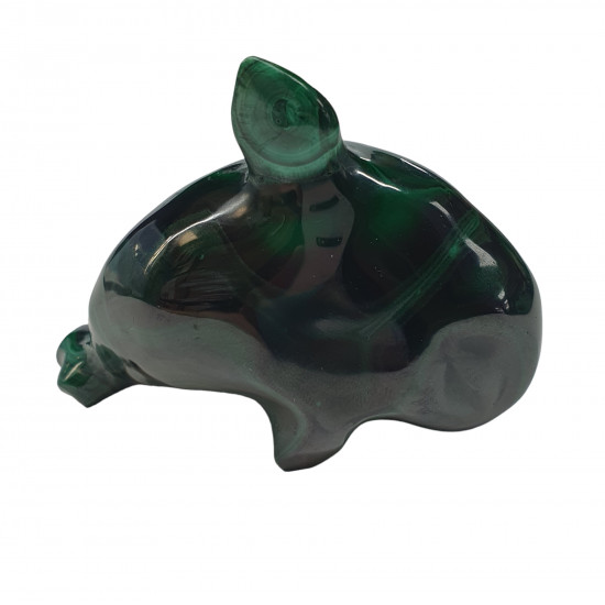 dolphin malachite