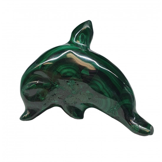 dolphin malachite