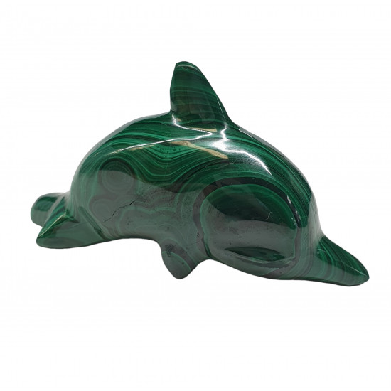 dolphin malachite