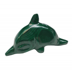 dolphin malachite