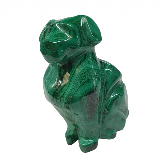 dog malachite