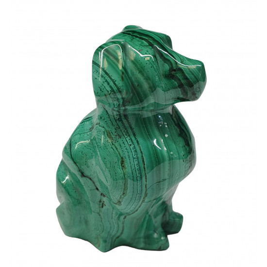 dog malachite