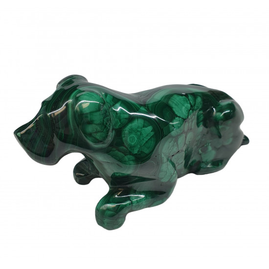 dog malachite