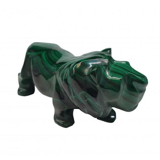 lion malachite