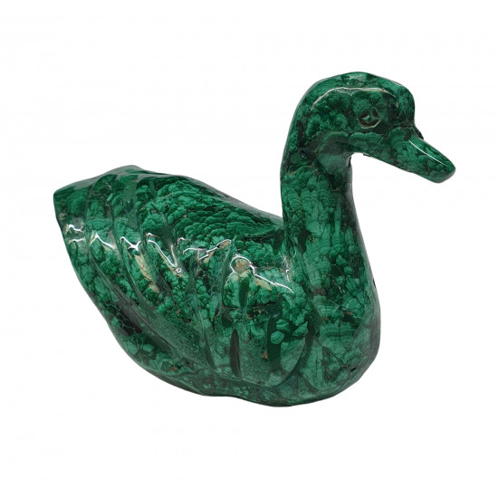 duck malachite