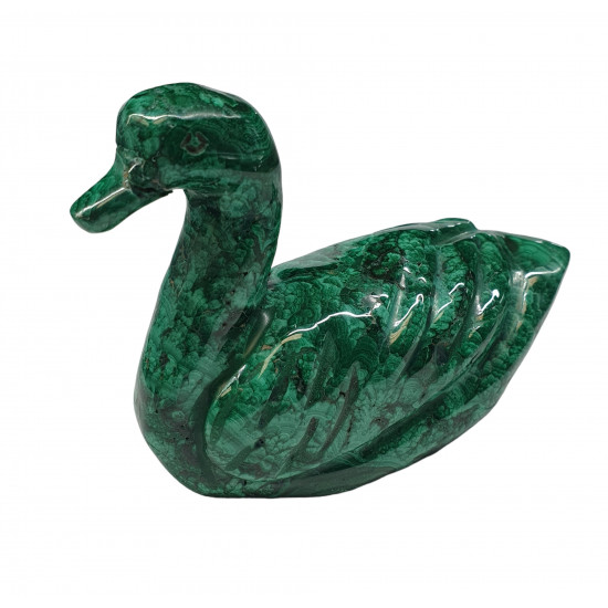 duck malachite