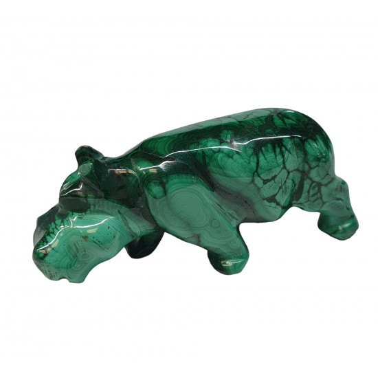 hippopotamus malachite