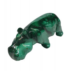 hippopotamus malachite