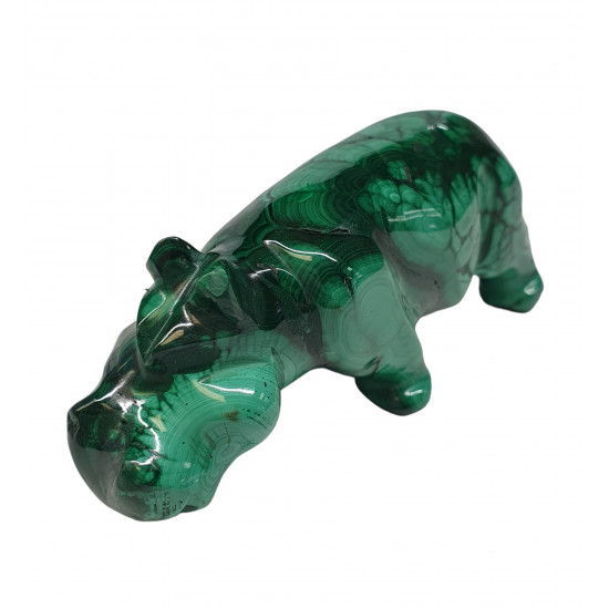 hippopotamus malachite