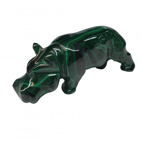 hippopotamus malachite