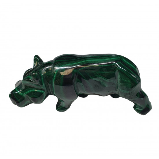 hippopotamus malachite