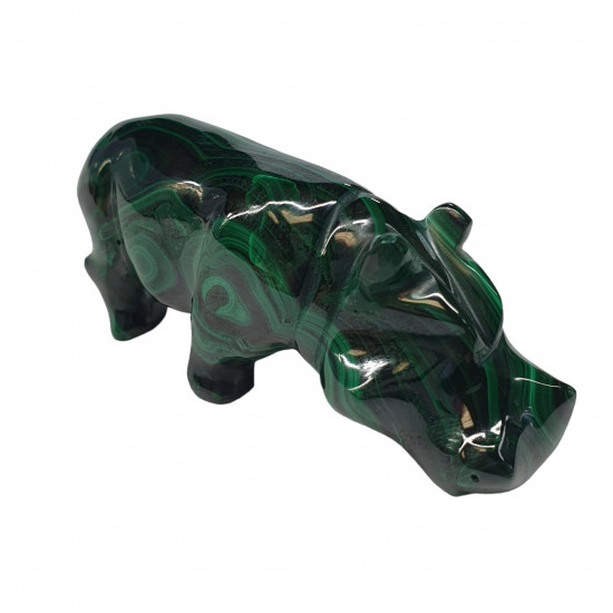 hippopotamus malachite