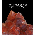 Zambia