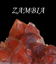 Zambia
