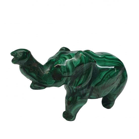 elephant malachite
