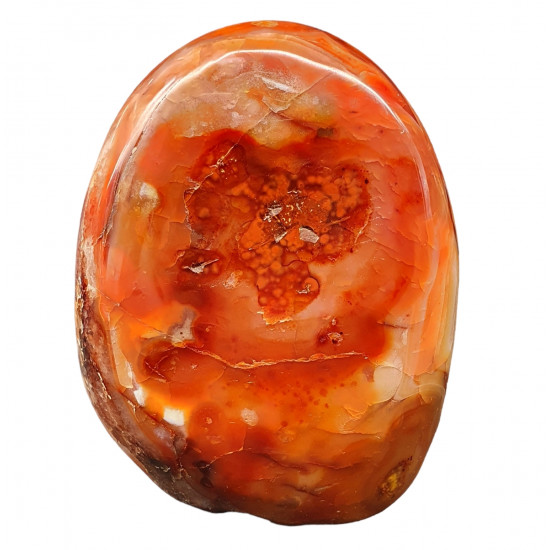 Carnelian Free Form