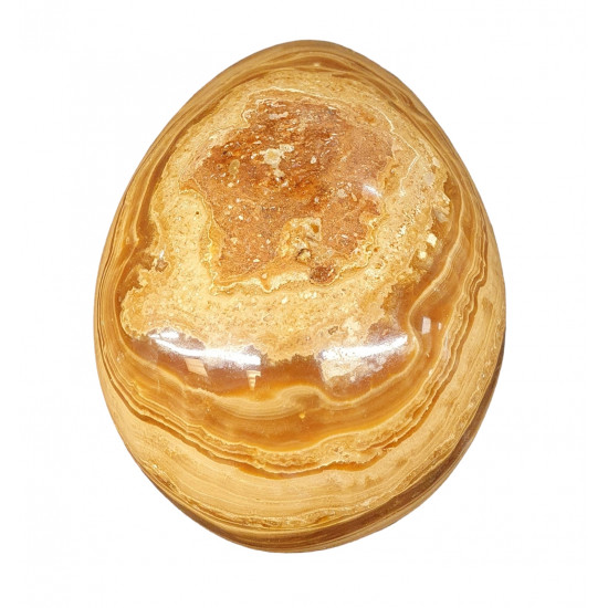 aragonite egg