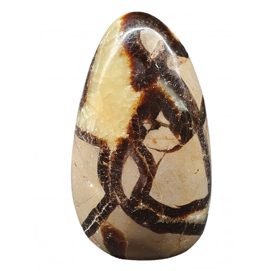 Yellow Septarian Free Form