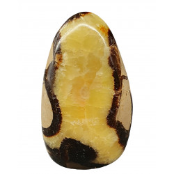 Yellow Septarian Free Form