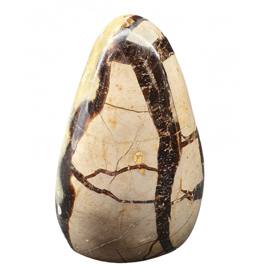 Yellow Septarian Free Form