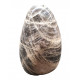 Black Moonstone Free Form